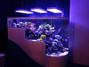 Sonew Usine d'eau artificielle Aquarium d'animaux de mer
